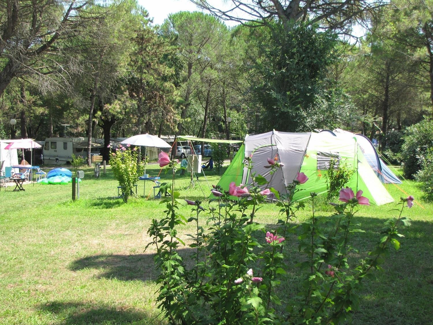 Belvedere Pineta Camping Village Grado Exterior foto